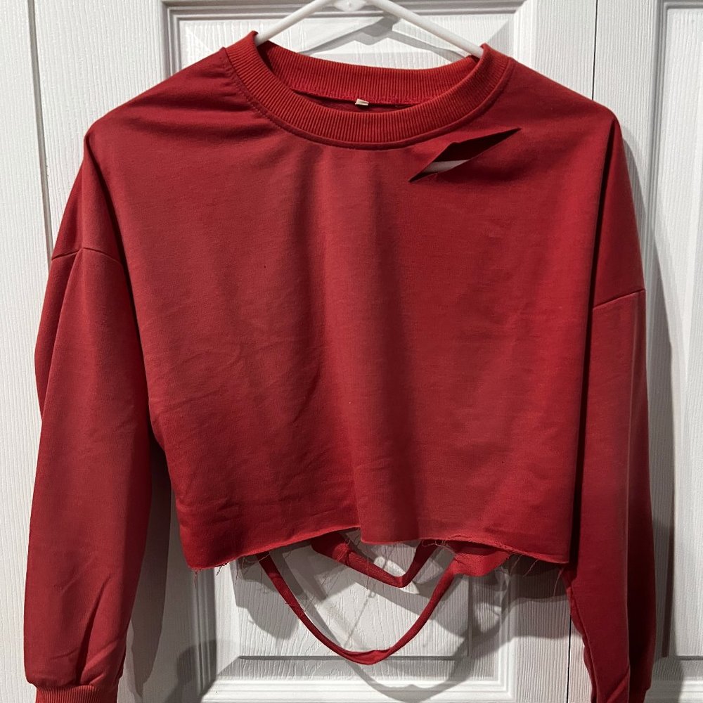 Pink Crop Full Sleeve